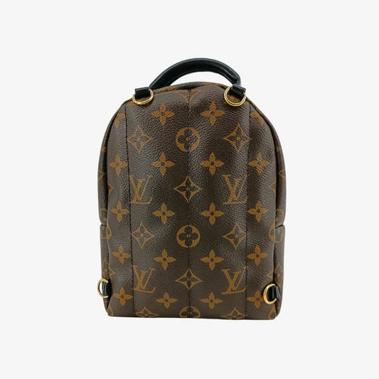 js553-louis-vuitton-palm-springs-mini