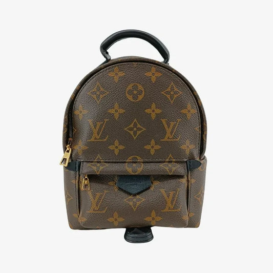 js553-louis-vuitton-palm-springs-mini