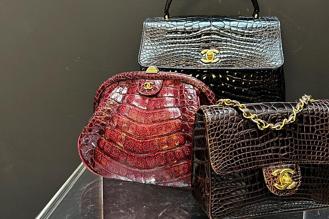 CHANEL絕版系列 | 鱷魚皮CF五年升值逾兩倍，野生動物皮革入門款只需2萬？