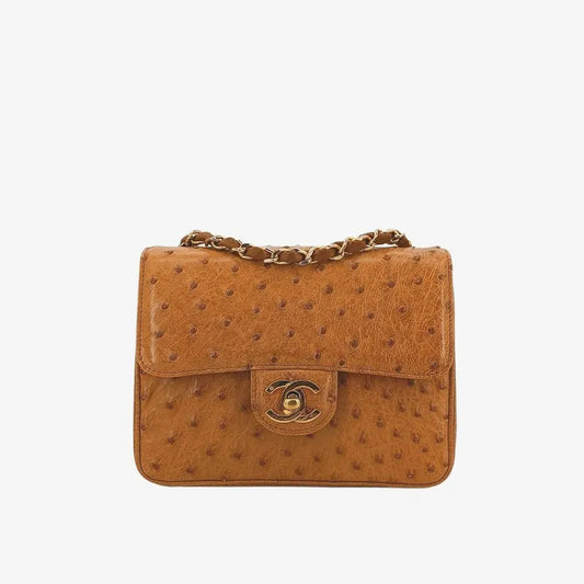 sh017-chanel-vintage-brown-ostrichskin-17cm-mini-square-flap-bag