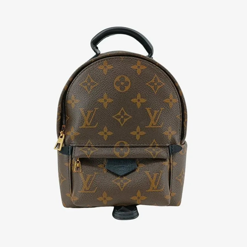js553-louis-vuitton-palm-springs-mini