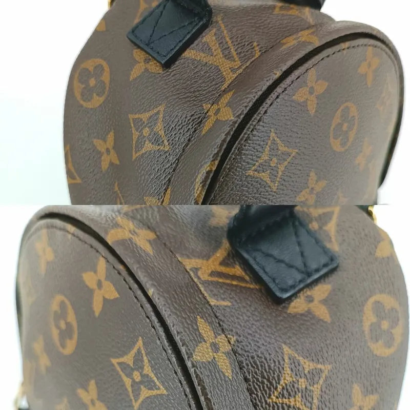 js553-louis-vuitton-palm-springs-mini