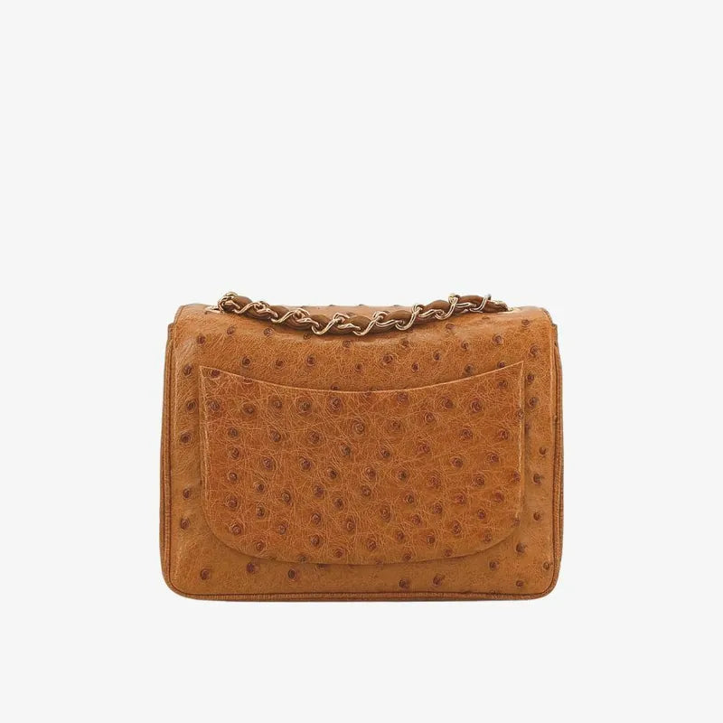sh017-chanel-vintage-brown-ostrichskin-17cm-mini-square-flap-bag