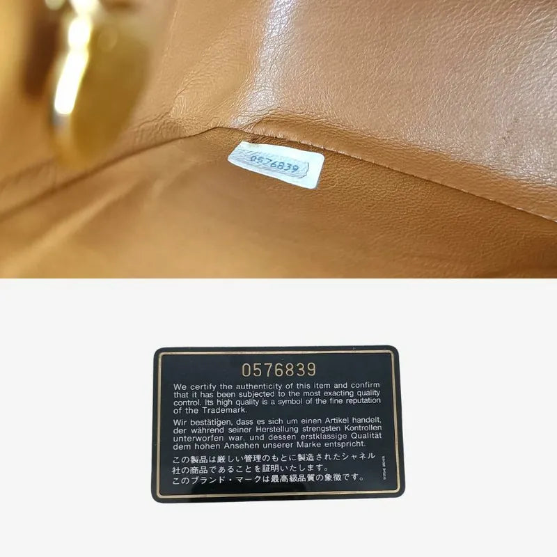 sh017-chanel-vintage-brown-ostrichskin-17cm-mini-square-flap-bag